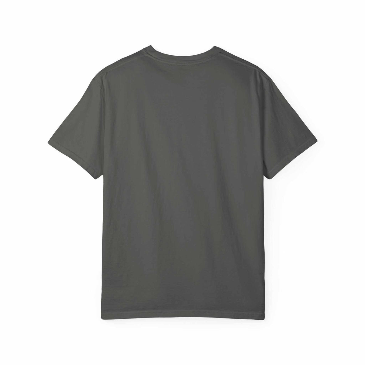 Brew Rider T-Shirt garment-dyed heavyweight cotton tee with surfing coffee mug logo and relaxed fit
